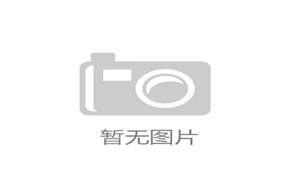 盘点德甲以大脚战术著称的经典球队 盘点德甲以大脚战术著称的经典球队